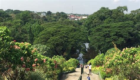 15 Fun & Unique Things to Do in Quezon City .